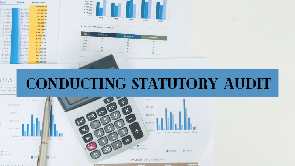 Conducting Statutory Audit
